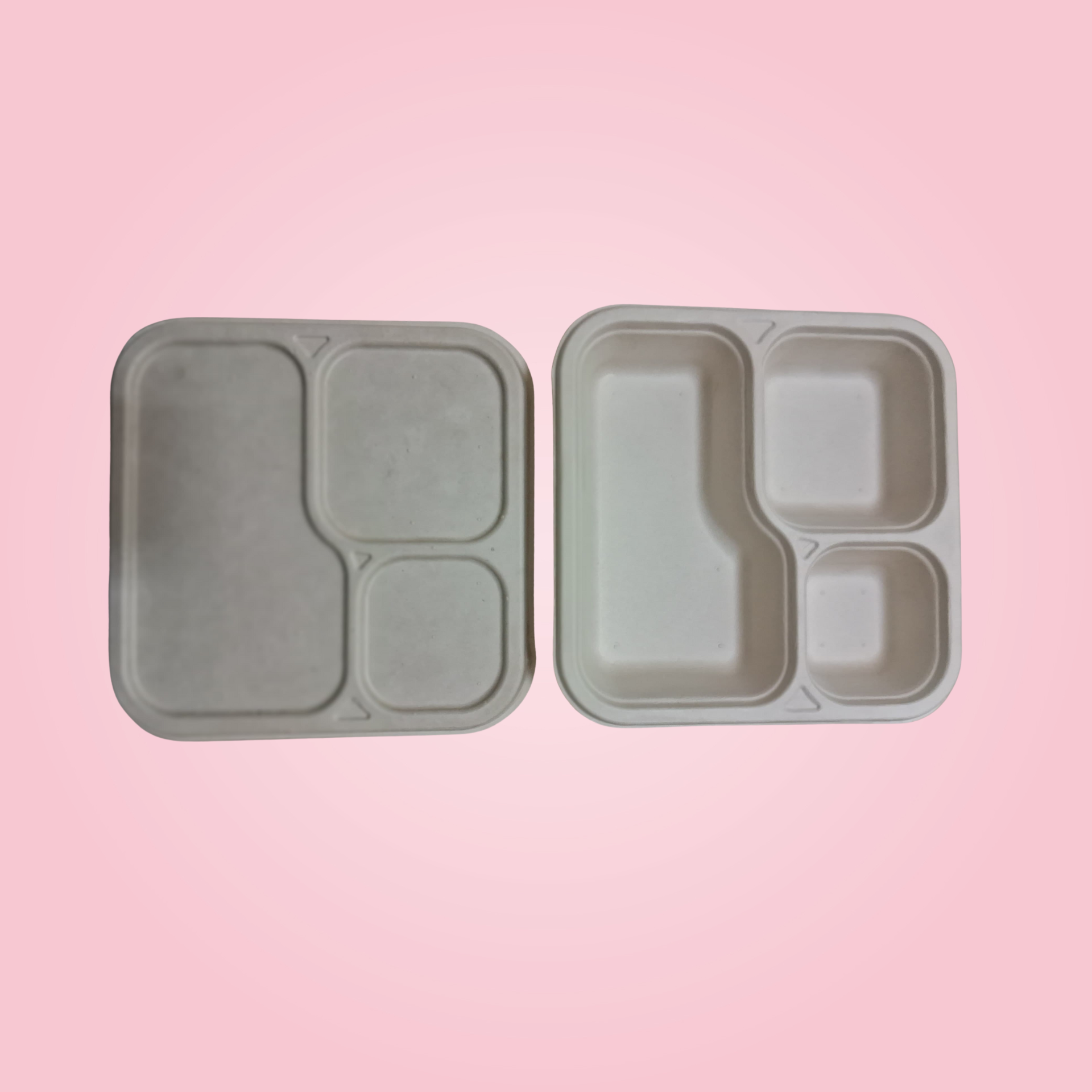 3 CP MEAL TRAY WITH LID