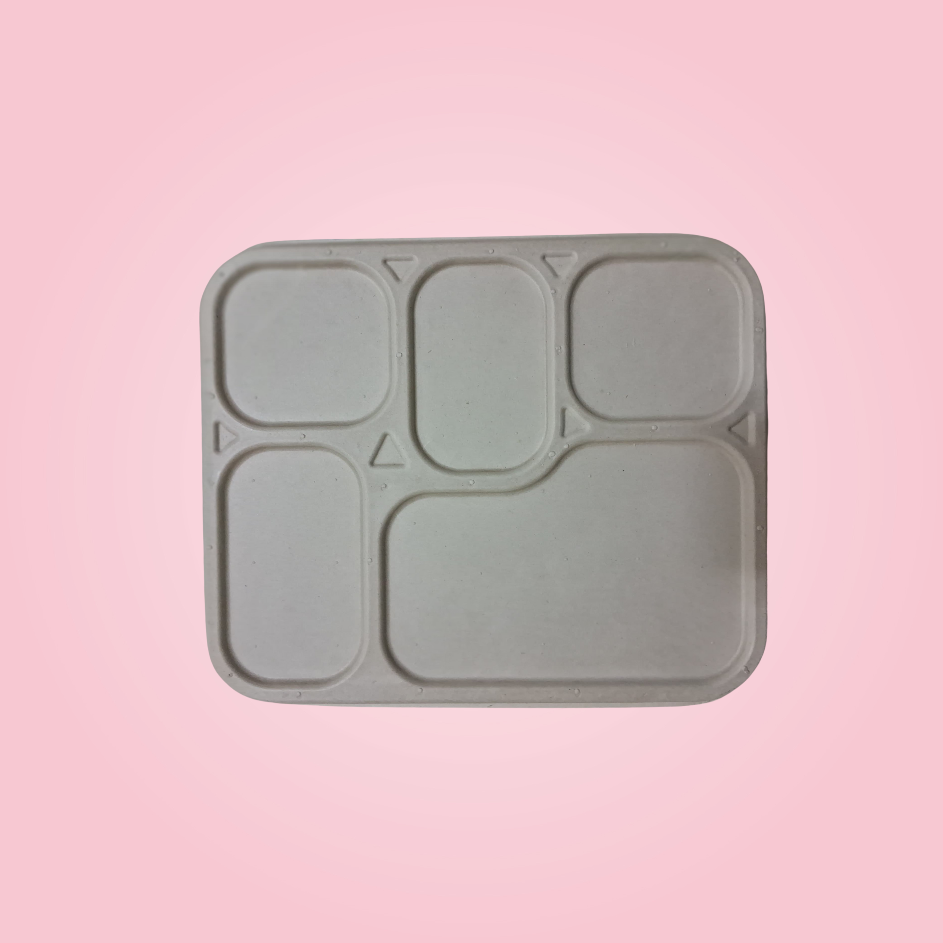 5 CP MEAL TRAY WITH LID