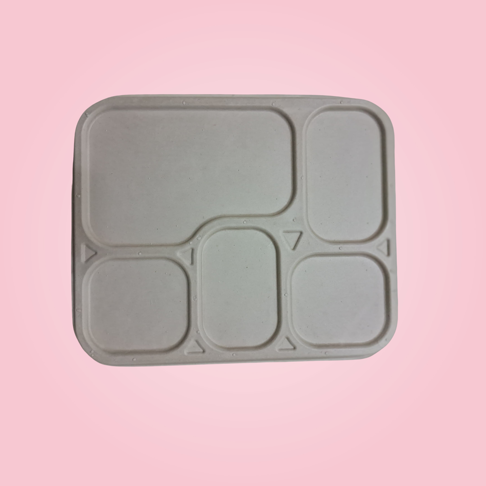 5 CP MEAL TRAY WITH LID