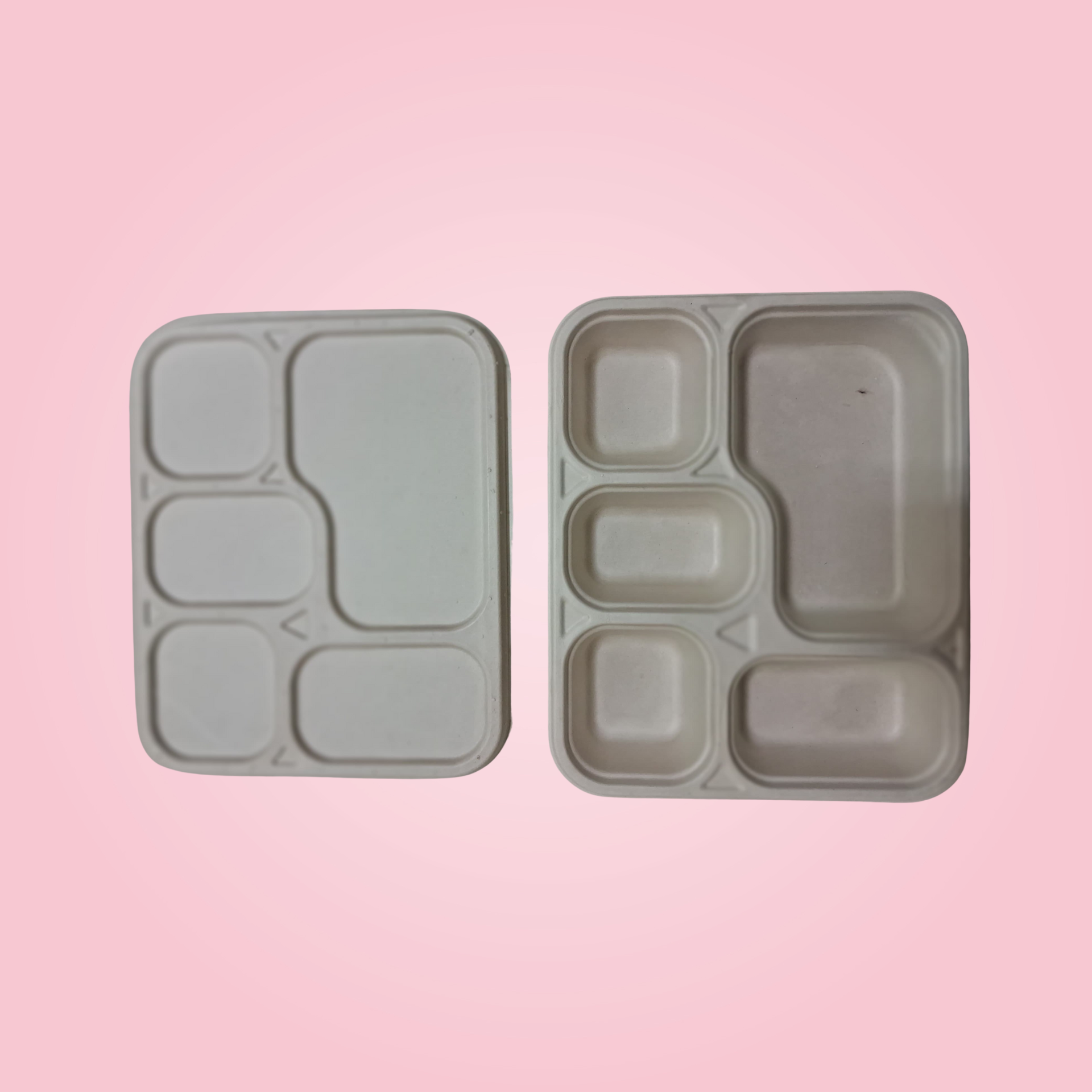 5 CP MEAL TRAY WITH LID