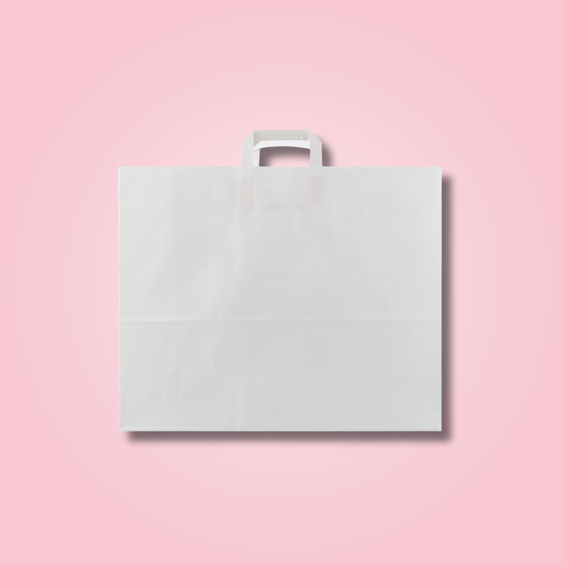 WHITE FLAT HANDLE BAG 24X15X21.5 CM