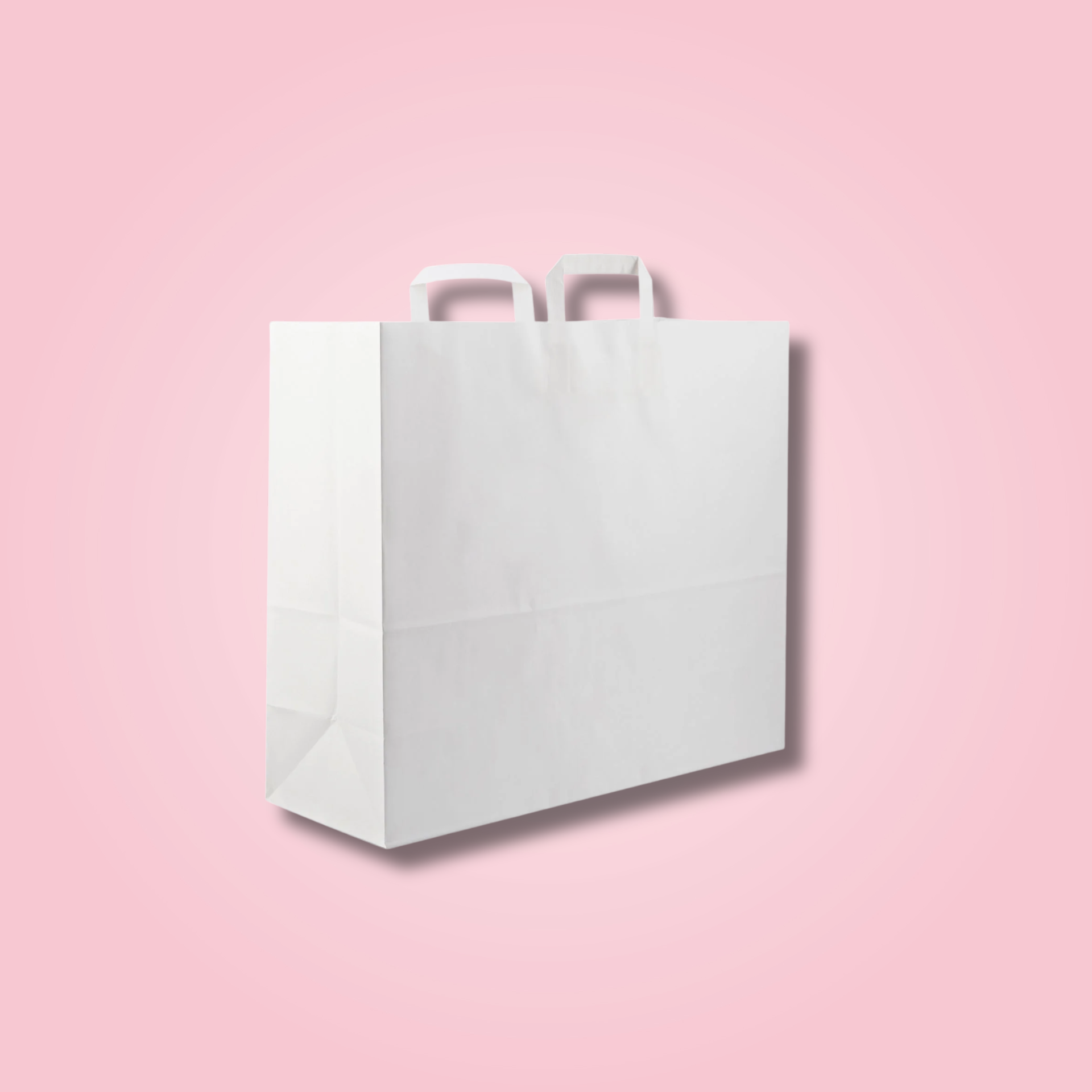 WHITE FLAT HANDLE BAG 24X15X21.5 CM