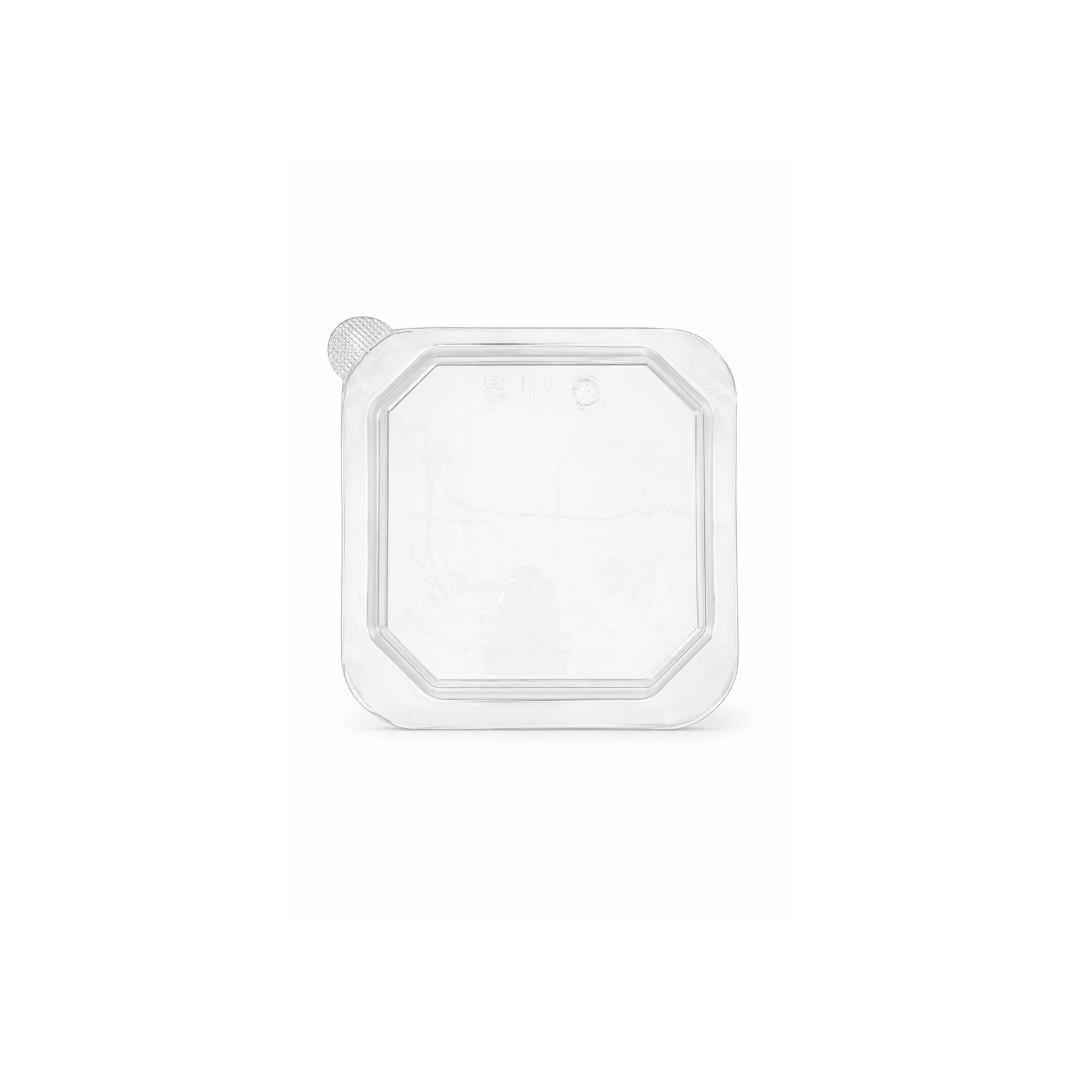Arrowpack Square Kraft Container PET Lid 500 ml – Pack of 500 - Packpe.Com