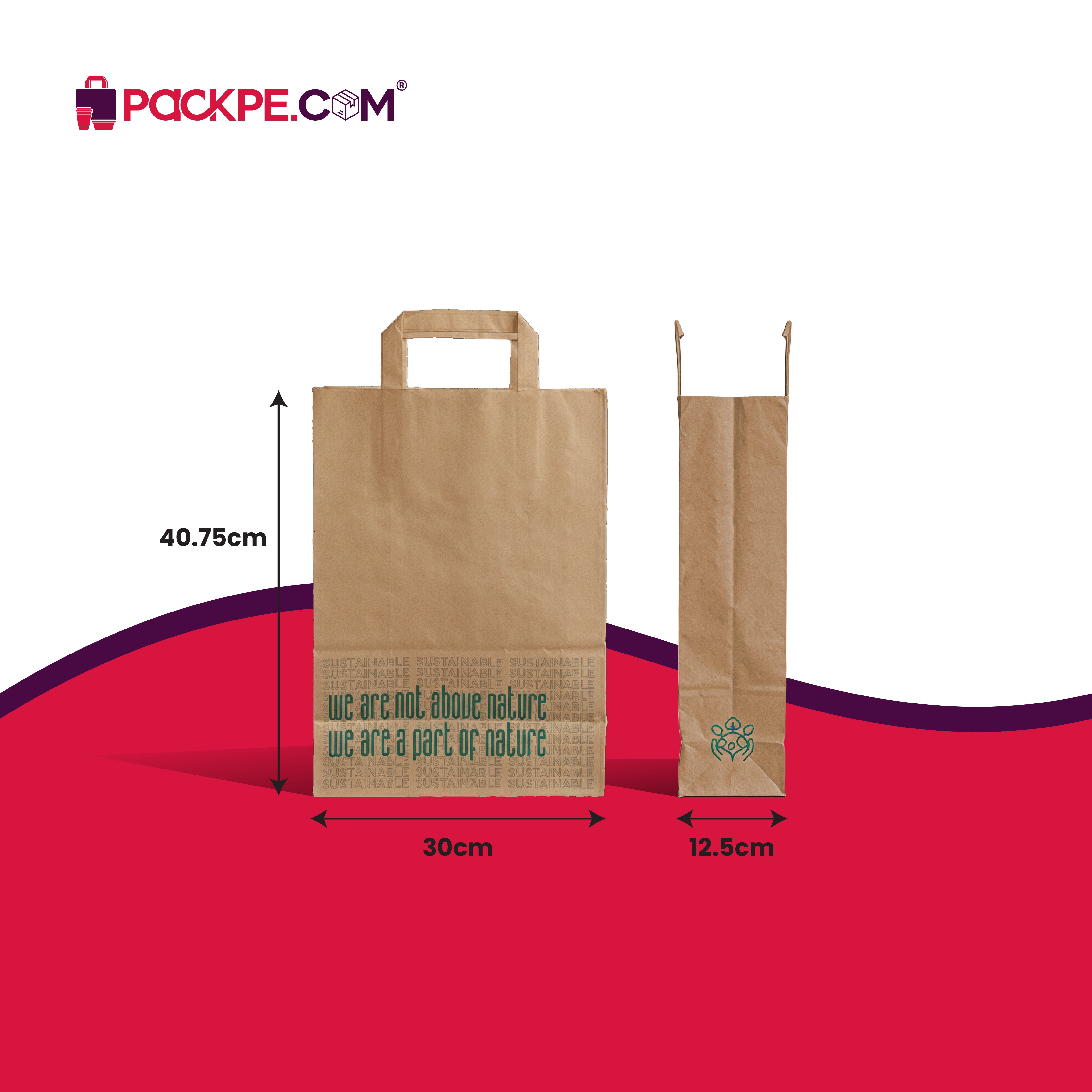 Hotpack Nature Large Brown Paper Bag 30x12.5x40.75 cm – Pack of 250 - Packpe.Com