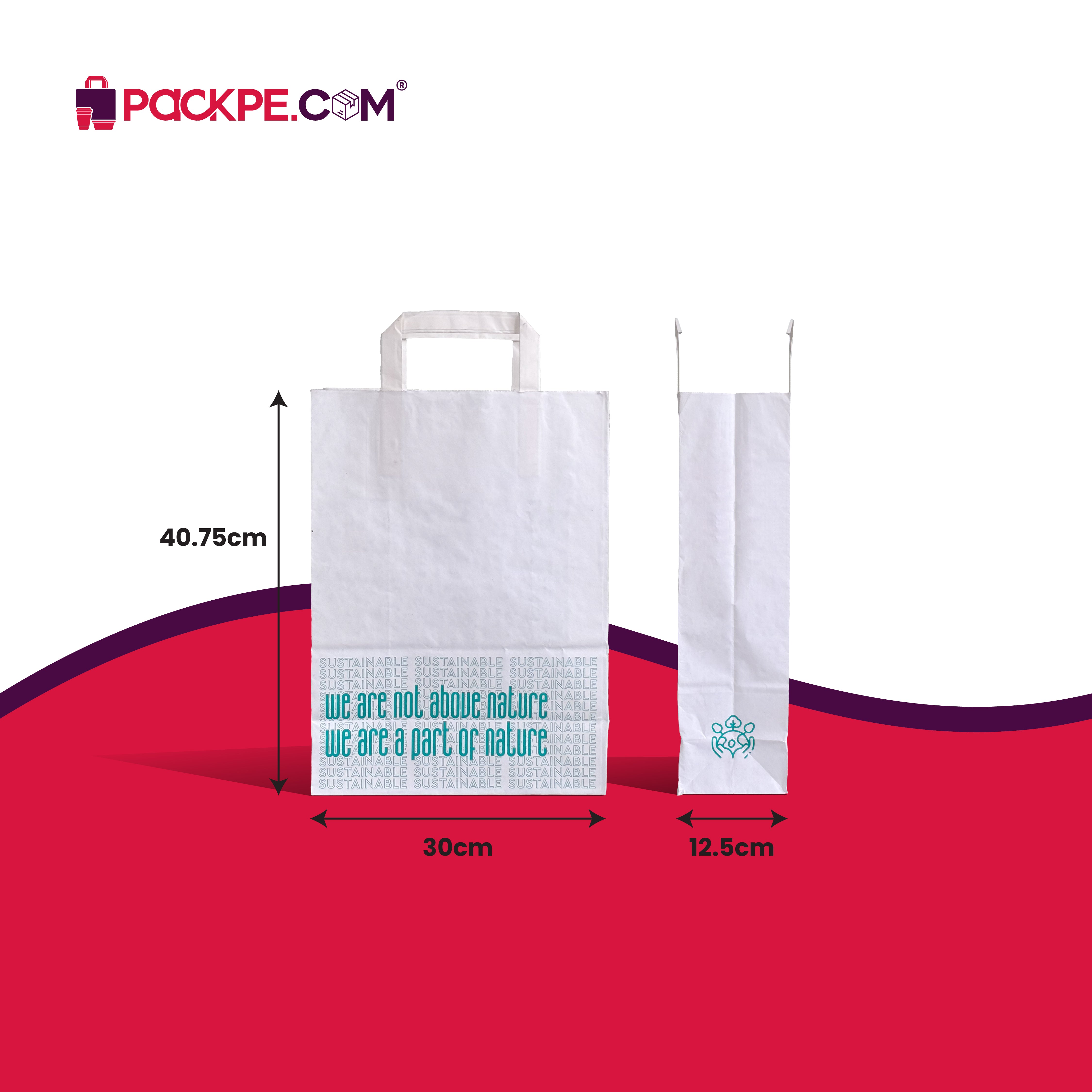 Hotpack Nature Large White Paper Bag 30x12.5x40.75 cm – Pack of 250 - Packpe.Com