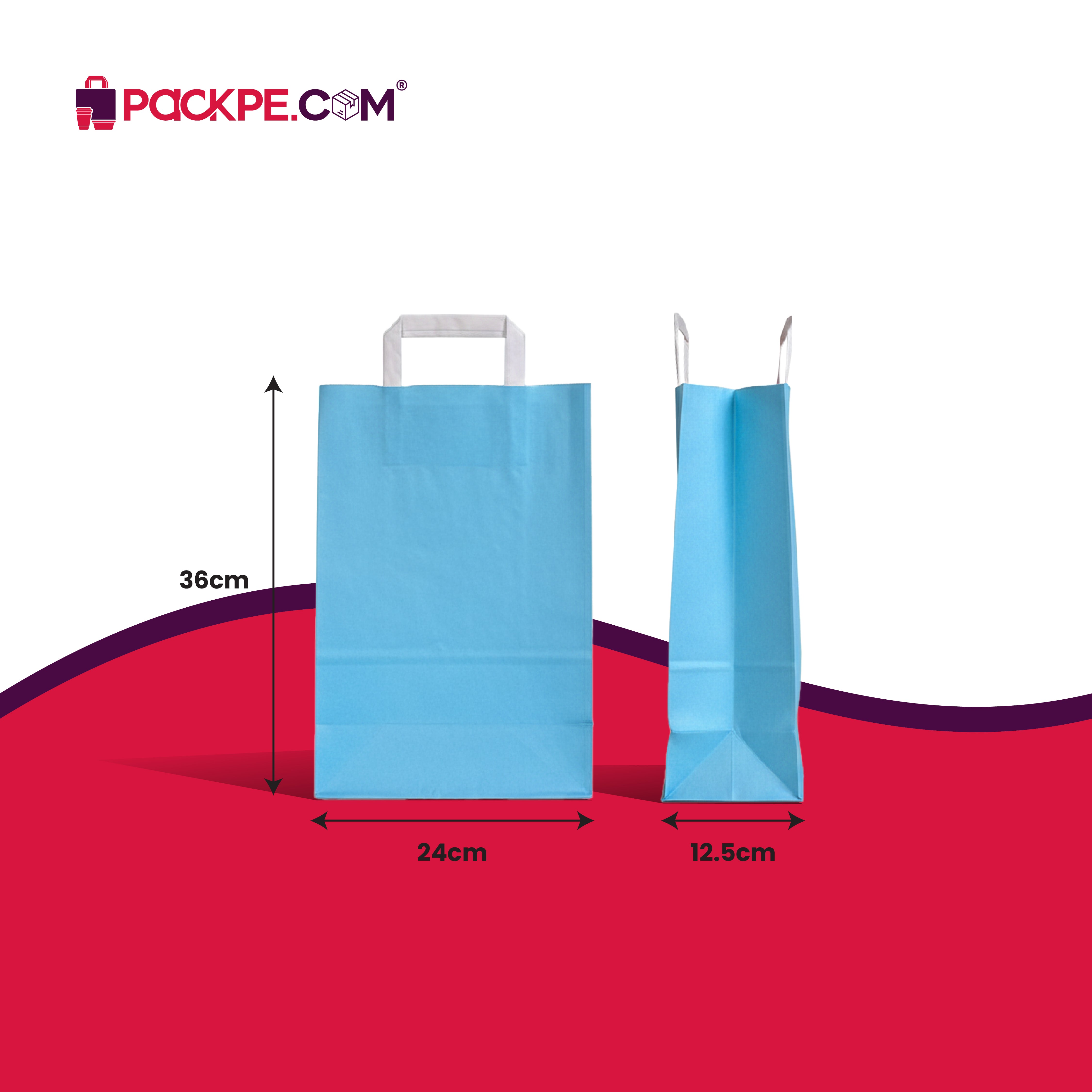Hotpack Retail Cool Blue Paper Bag 24x12.5x36 cm – Pack of 250 - Packpe.Com