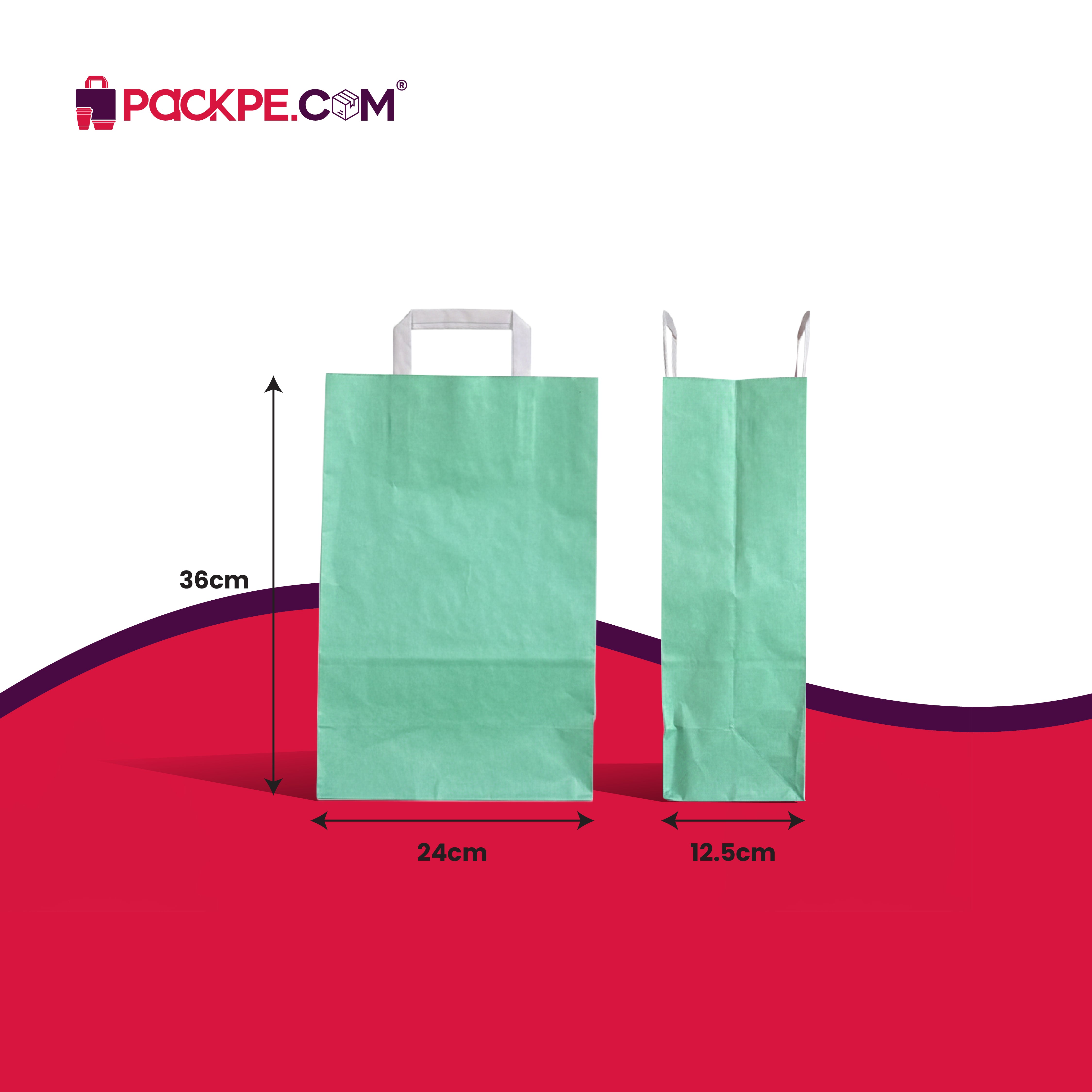 Hotpack Retail Sea Green Paper Bag 24x12.5x36 cm – Pack of 250 - Packpe.Com