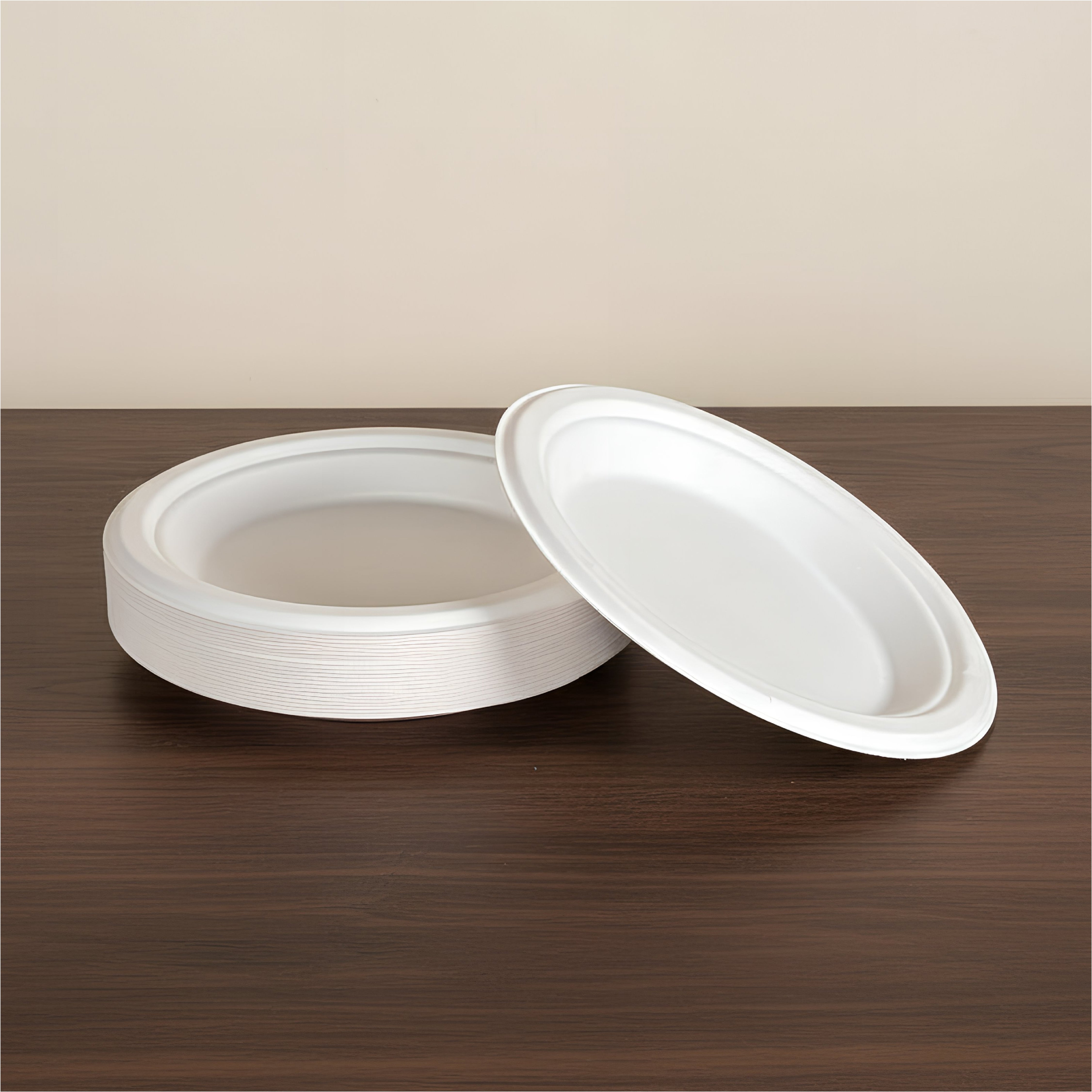 ITC 10 Inch Plate – Pack of 500 - Packpe.Com